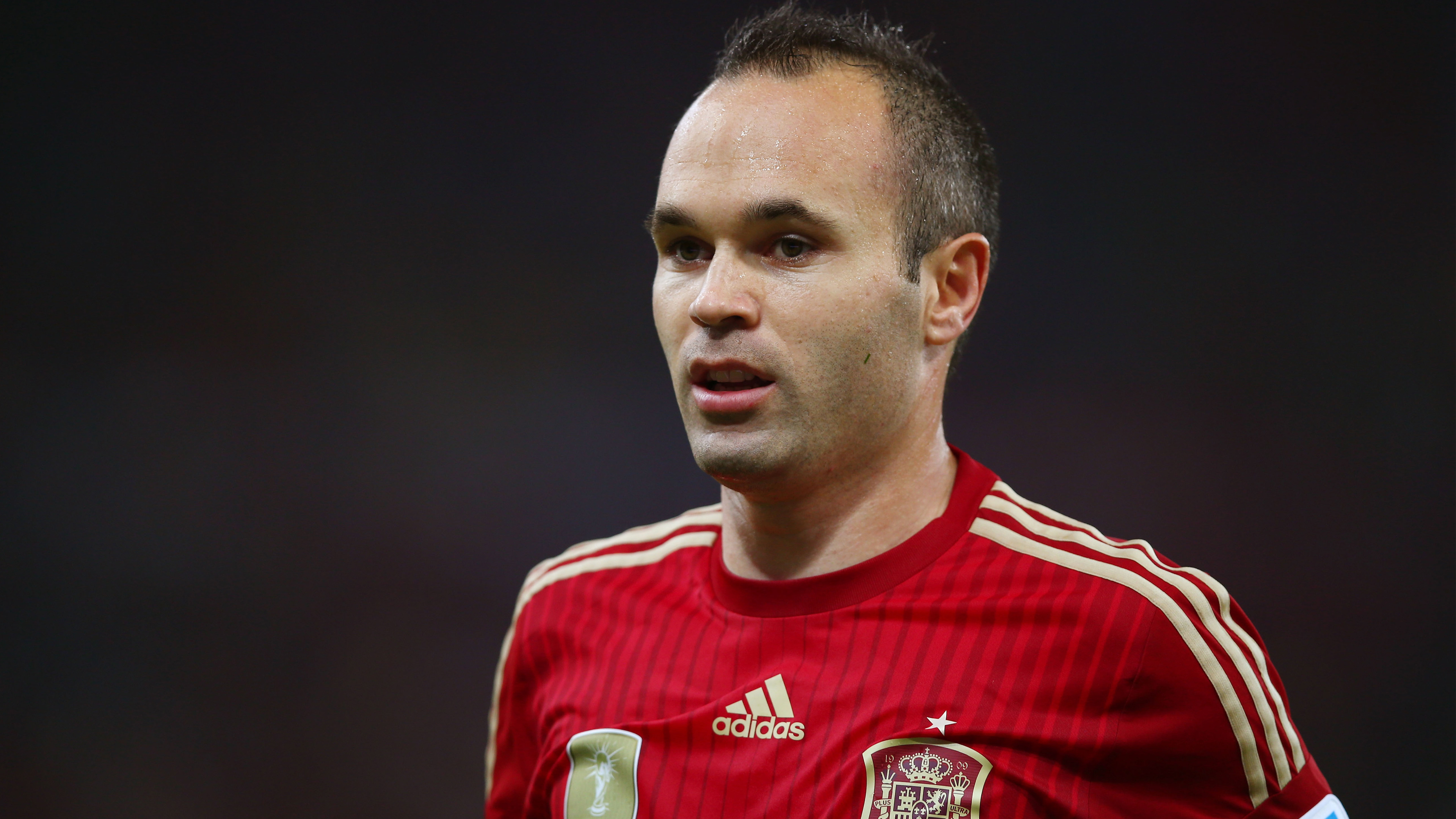 Andres Iniesta Spanish Footballer261928861